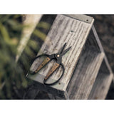 Barebones Walnut Garden Scissors - Small