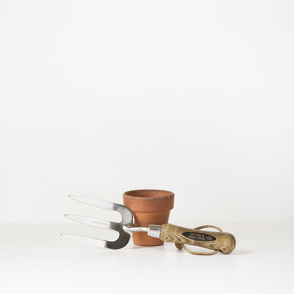 Spear and Jackson Weed Fork