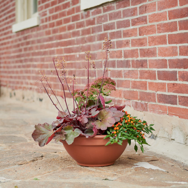 Fall Planter - Small – Green Meadows Florist