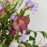 Farren Spring