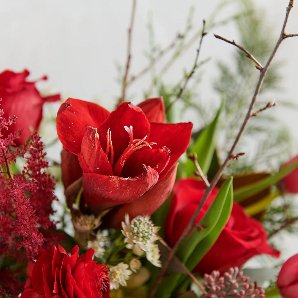 Designer's Choice Arrangement - Christmas