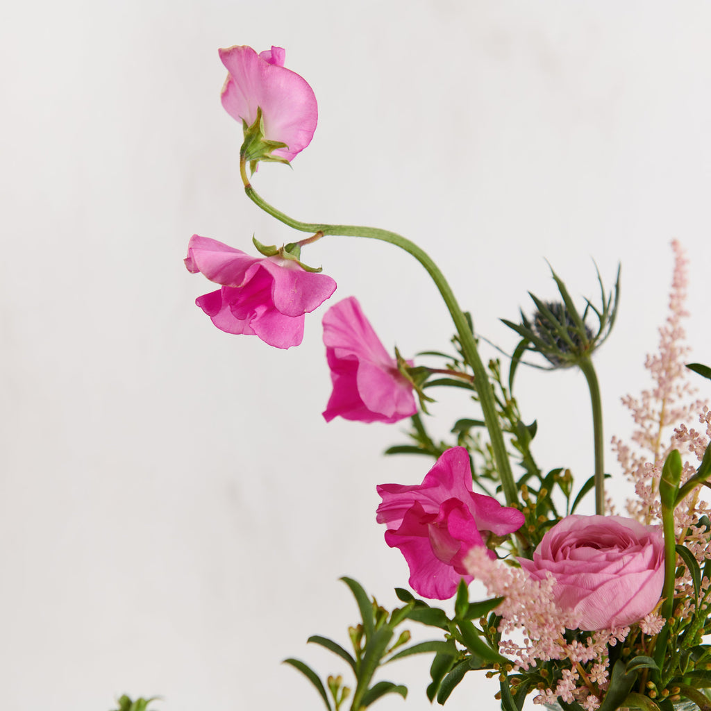 Cuatro Summer – Green Meadows Florist