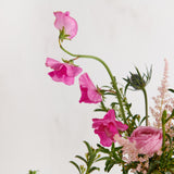 Cuatro Spring