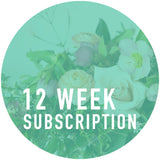12 Week Arrangement Subscription
