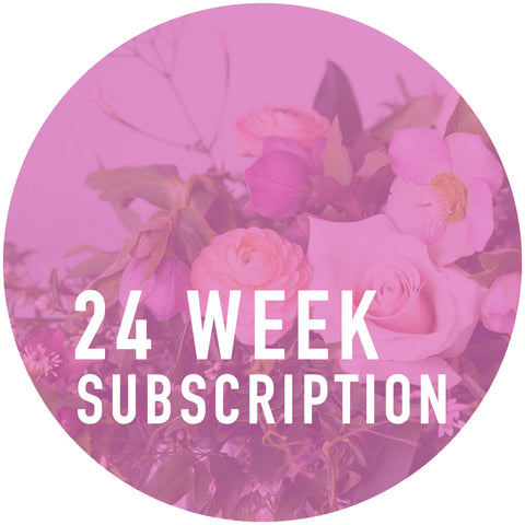 24 Week Arrangement Subscription