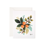 Botanical - Box Set
