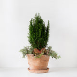 Tannenbaum