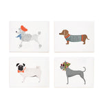 Dog - Box Set