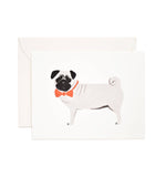 Dog - Box Set