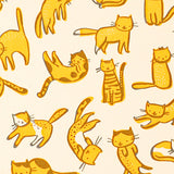 Kitty Kats