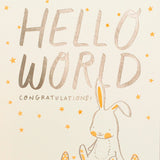 Bunny And Caterpiller