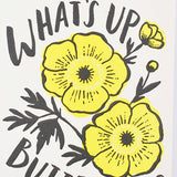 Buttercup
