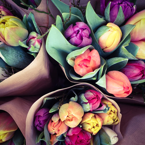 Designer Choice Tulip Bunch- Pickup Only